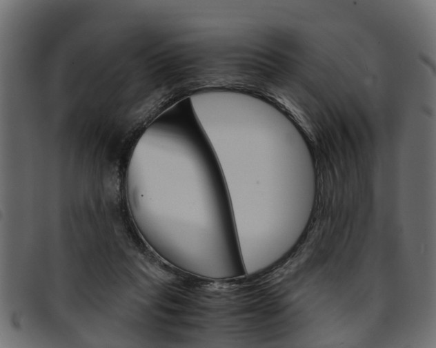 X0000094950261200711291112