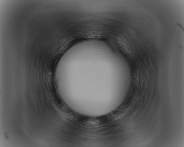 X0000094950263200711291112