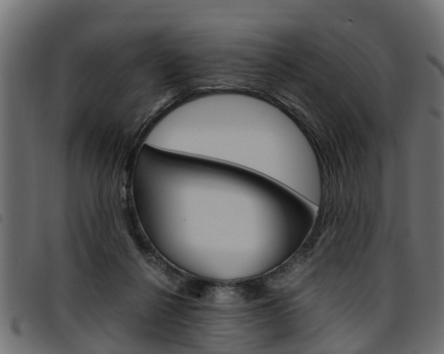 X0000094950264200711291112