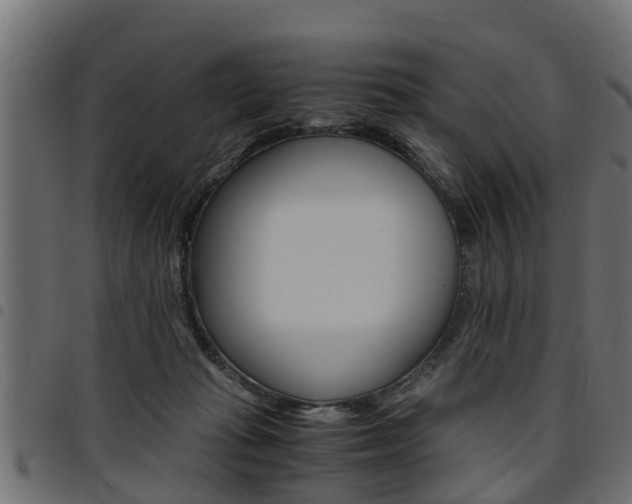 X0000094950269200711291112