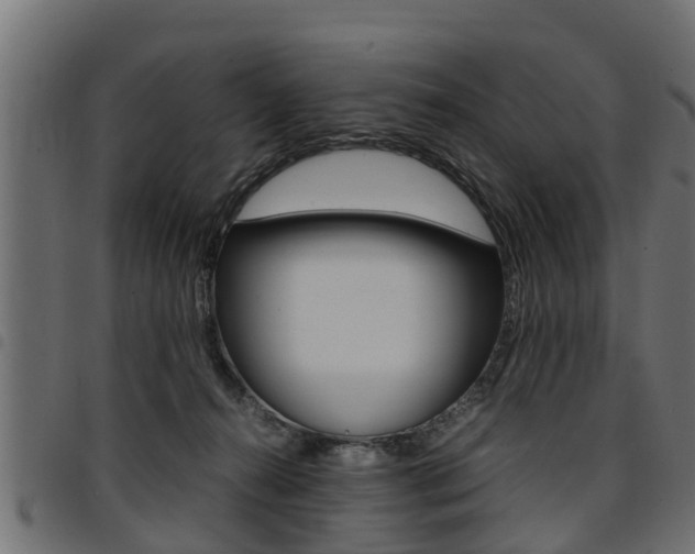 X0000094950272200711291112