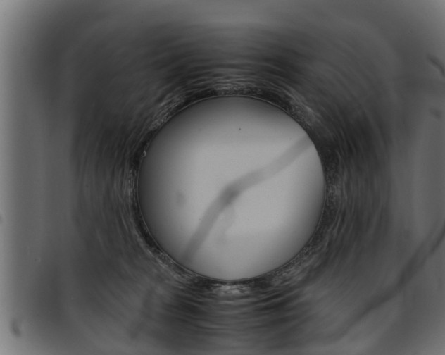 X0000094950277200711291112