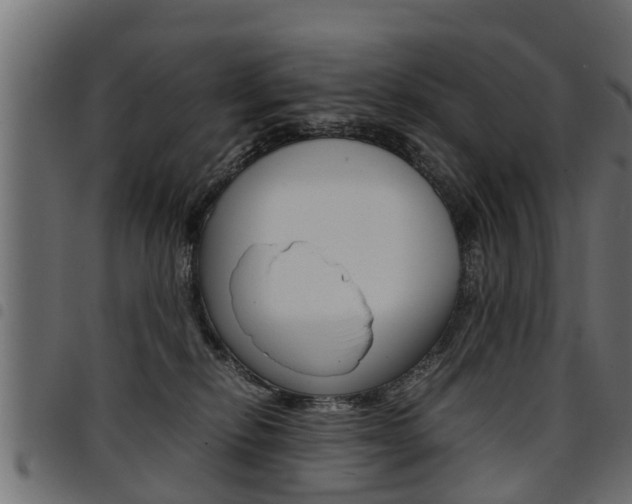 X0000094950278200711291112