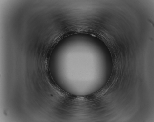 X0000094950280200711291112