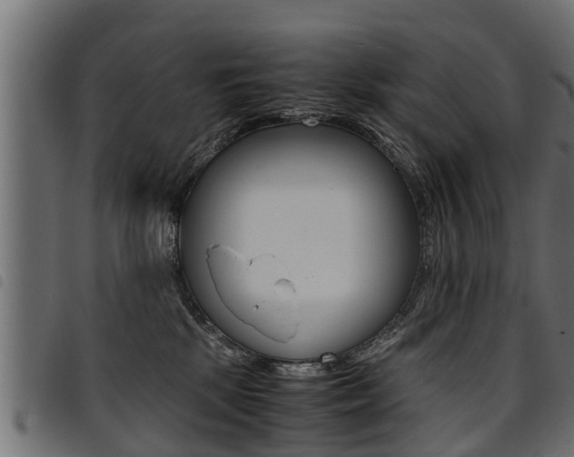 X0000094950281200711291112