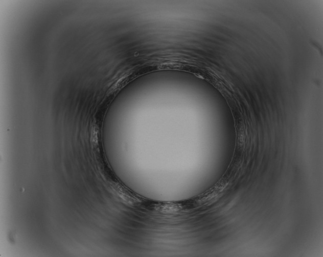 X0000094950282200711291112