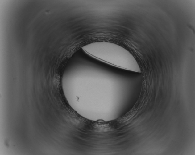 X0000094950283200711291112