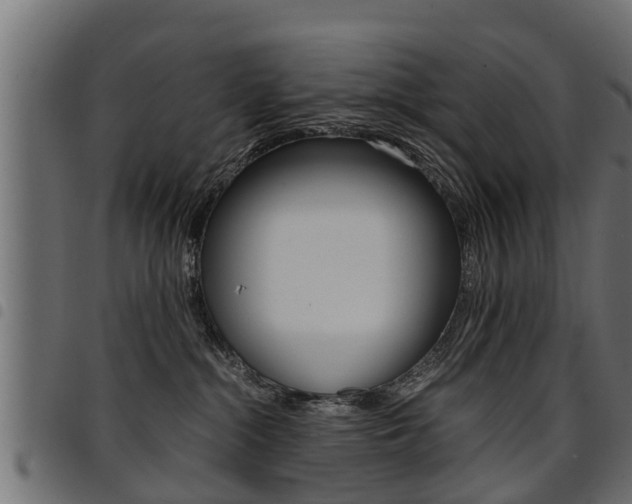 X0000094950284200711291112