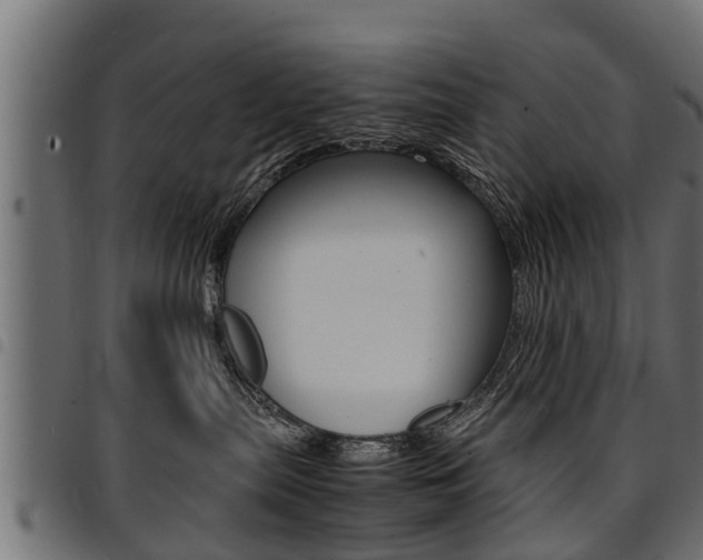 X0000094950287200711291112