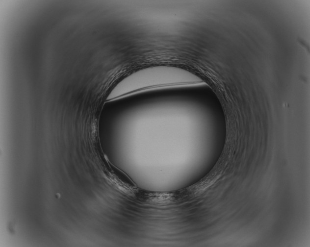 X0000094950288200711291112