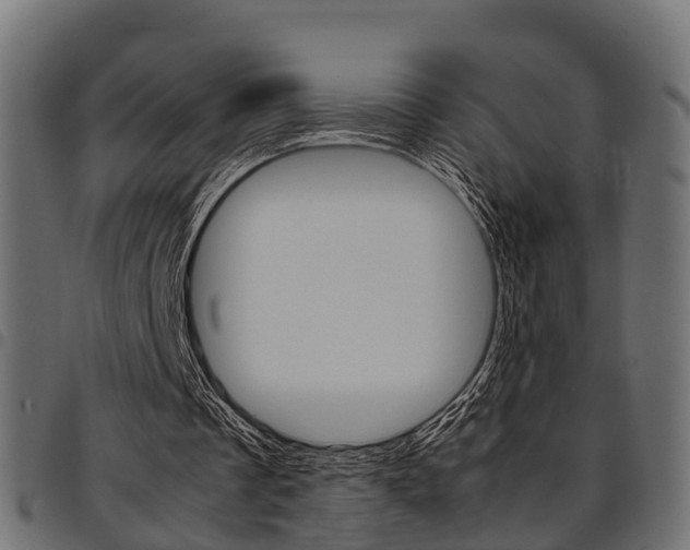 X0000094950289200711291111