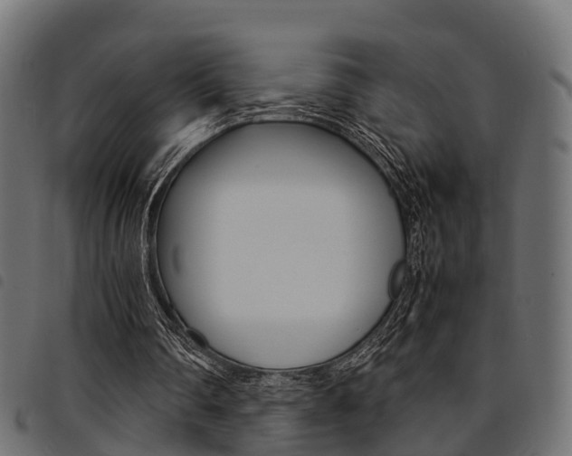 X0000094950290200711291111