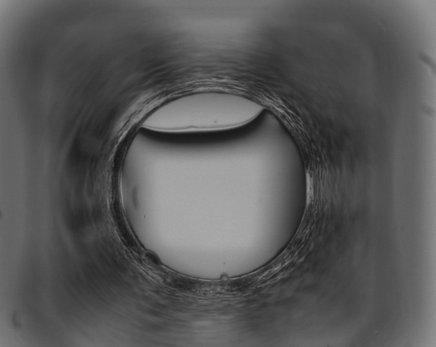 X0000094950291200711291111