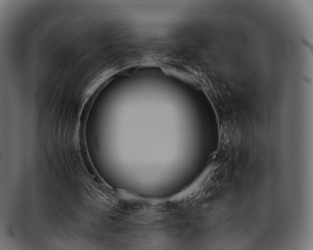 X0000094950292200711291111