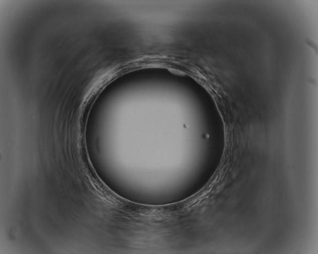 X0000094950293200711291111
