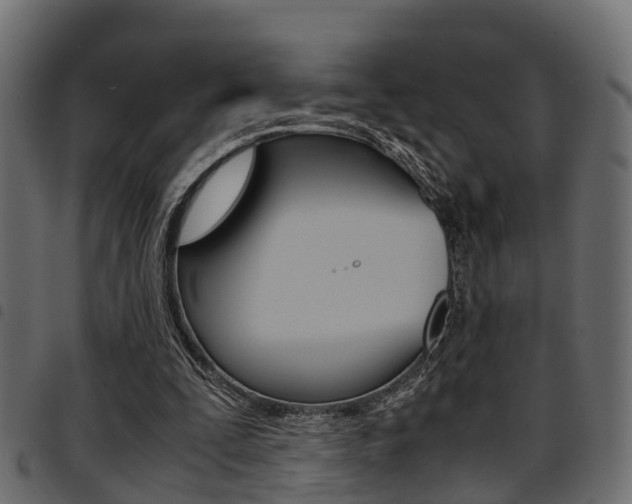 X0000094950295200711291111