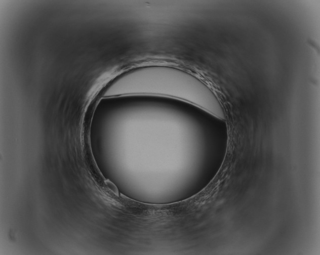 X0000094950296200711291111