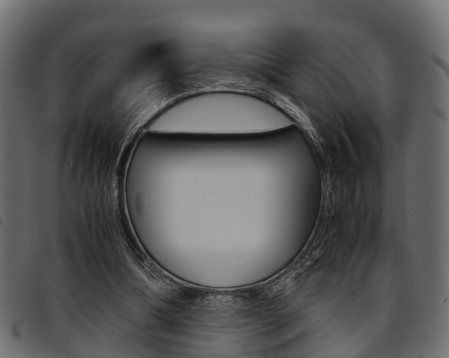 X0000094950298200711291111