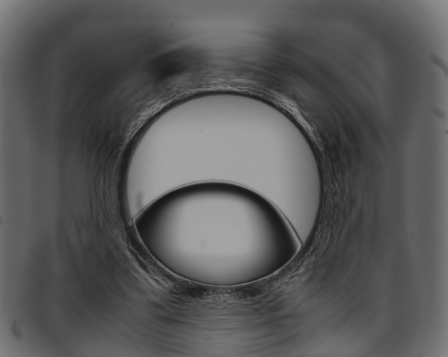 X0000094950299200711291111