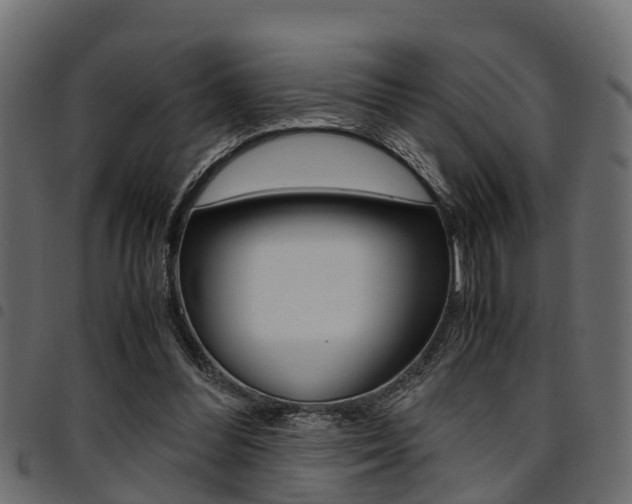 X0000094950300200711291111