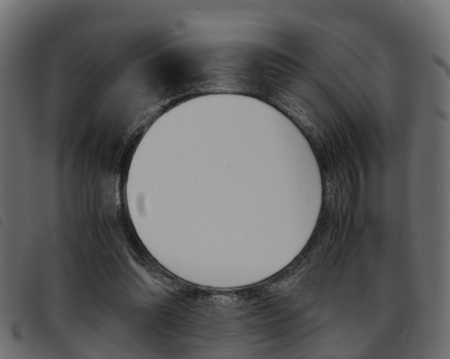 X0000094950302200711291111