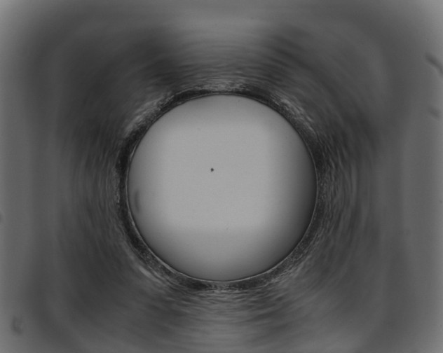 X0000094950303200711291111