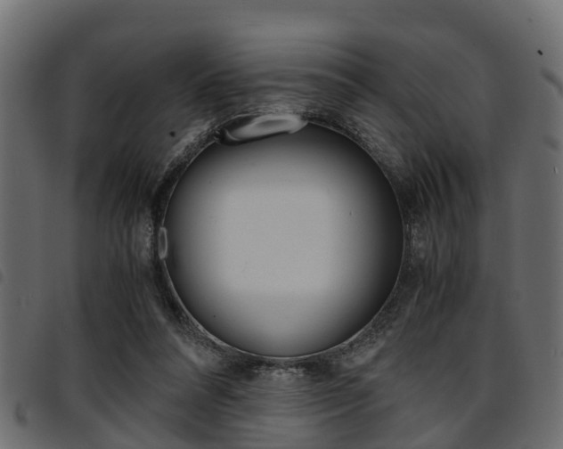 X0000094950304200711291111