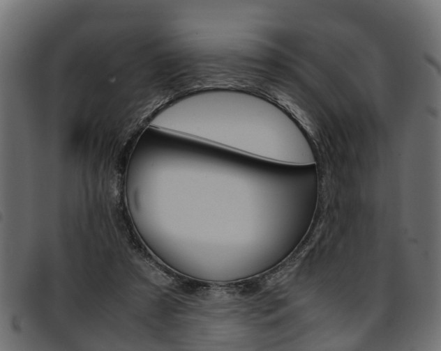 X0000094950305200711291111