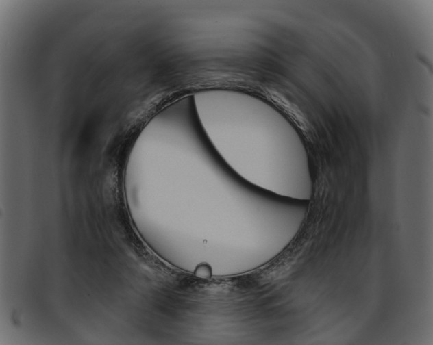 X0000094950306200711291111