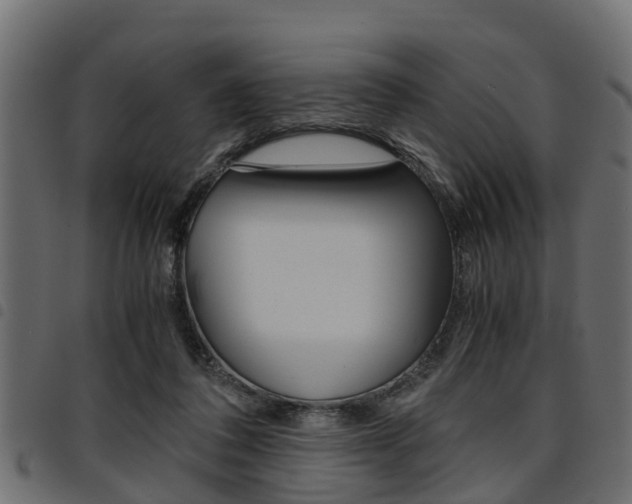X0000094950308200711291111