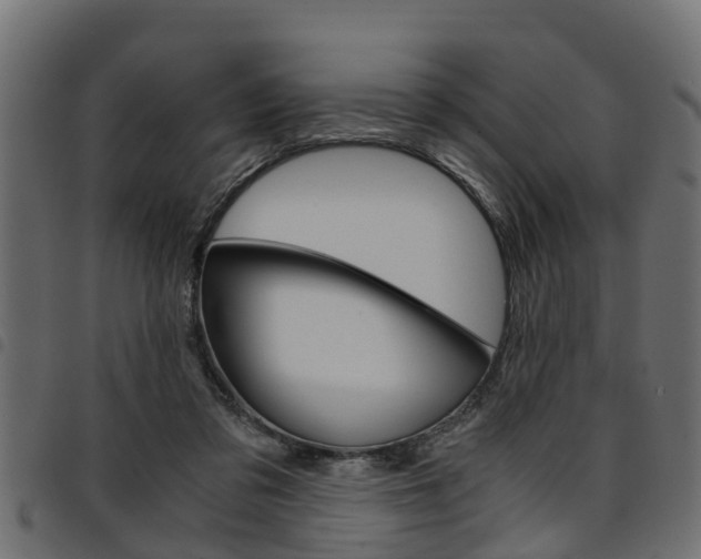 X0000094950309200711291111