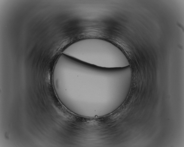 X0000094950310200711291111