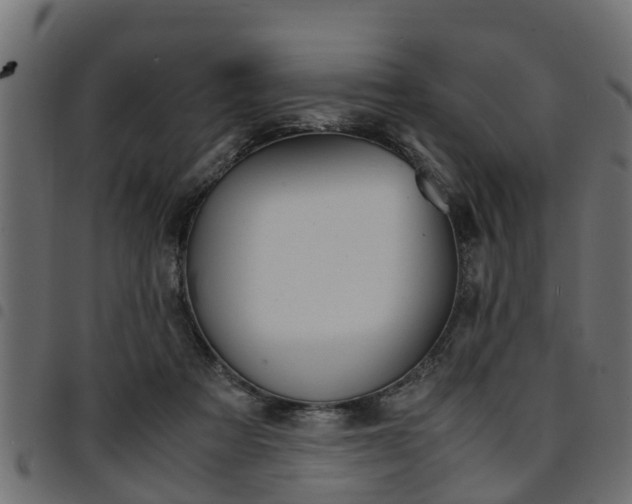 X0000094950313200711291111