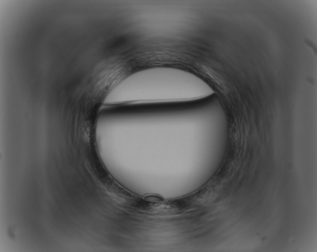 X0000094950315200711291111