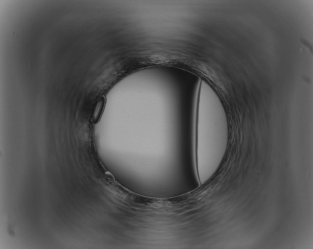 X0000094950317200711291111