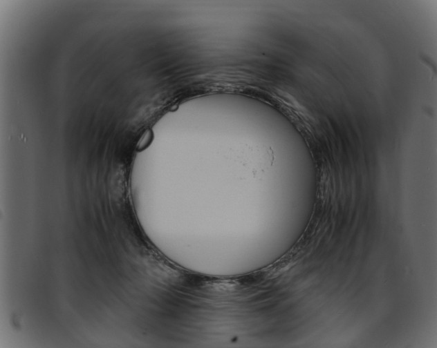 X0000094950318200711291111