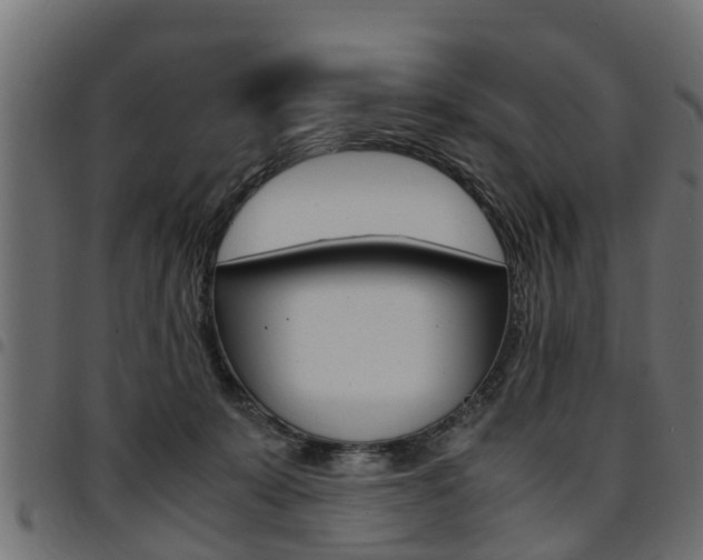 X0000094950319200711291111