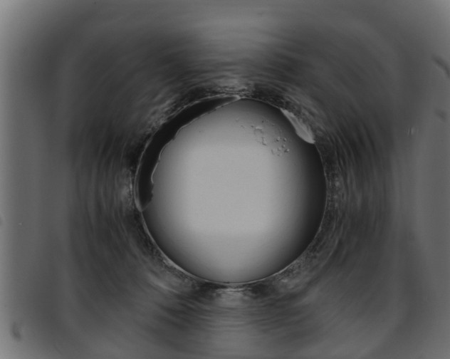 X0000094950320200711291111