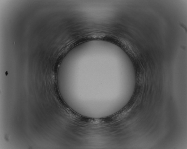 X0000094950321200711291111