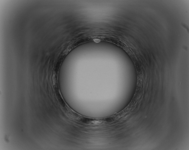 X0000094950323200711291111