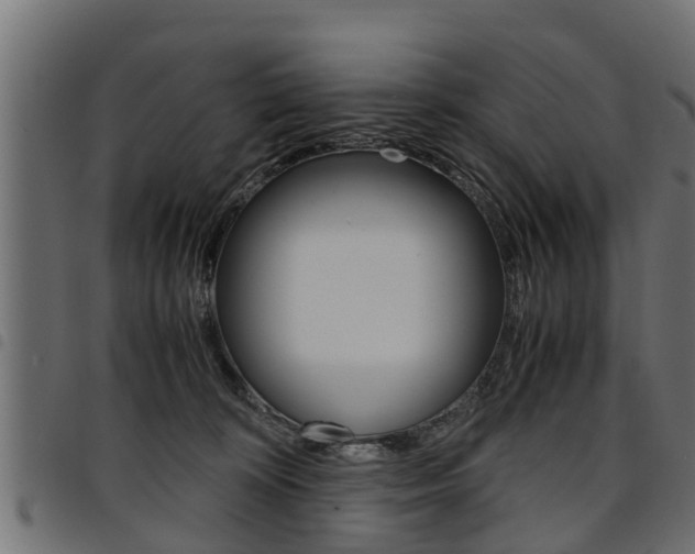 X0000094950324200711291111