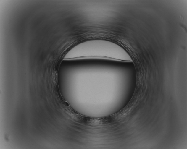 X0000094950325200711291111
