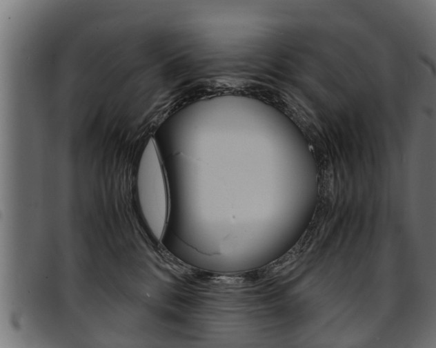 X0000094950328200711291111