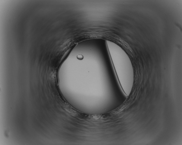 X0000094950329200711291111