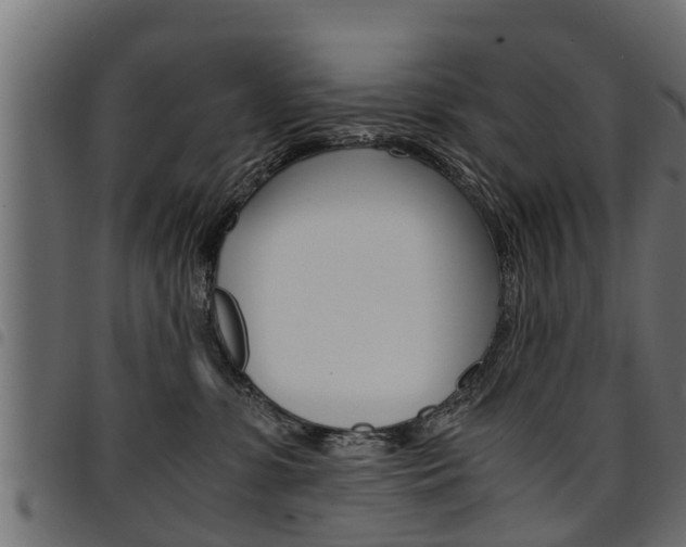 X0000094950331200711291111