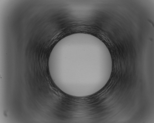 X0000094950332200711291111