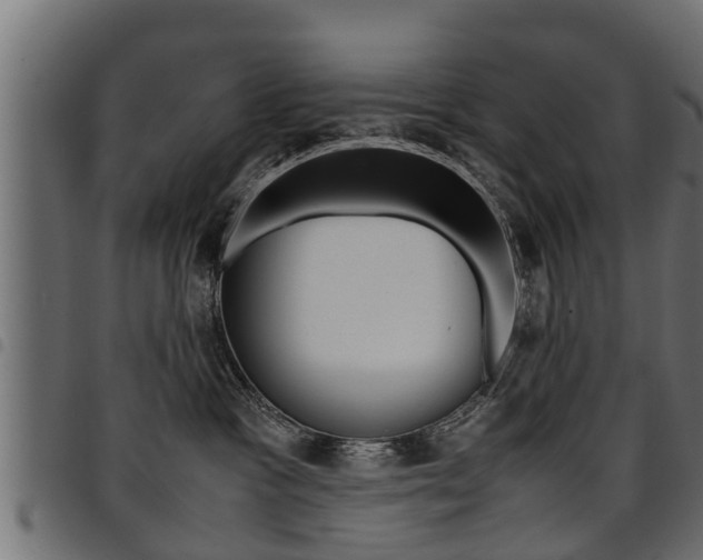 X0000094950333200711291111