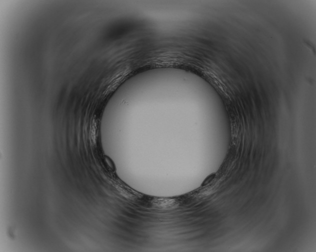 X0000094950334200711291111