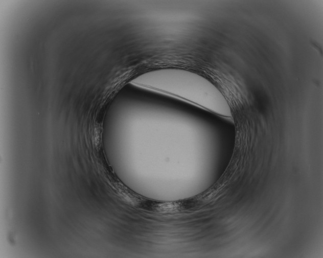 X0000094950335200711291111