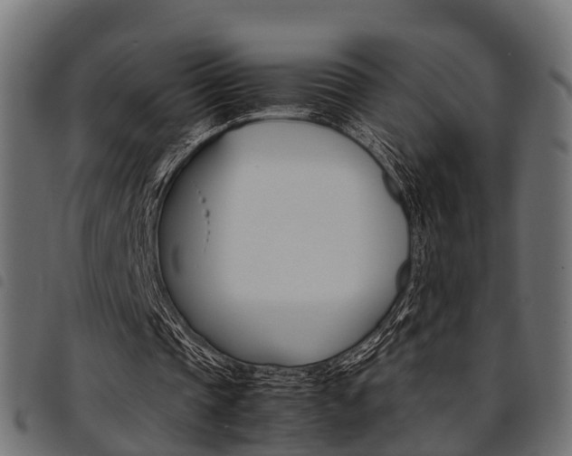 X0000094950337200711291110